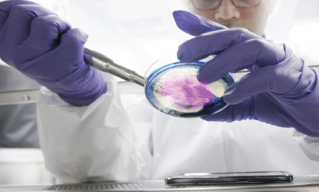 operational excellence in quality